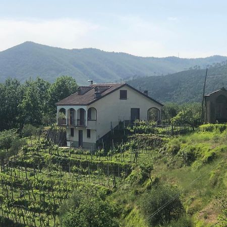Villa Elena Mezzanego Kültér fotó