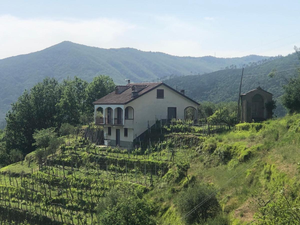 Villa Elena Mezzanego Kültér fotó