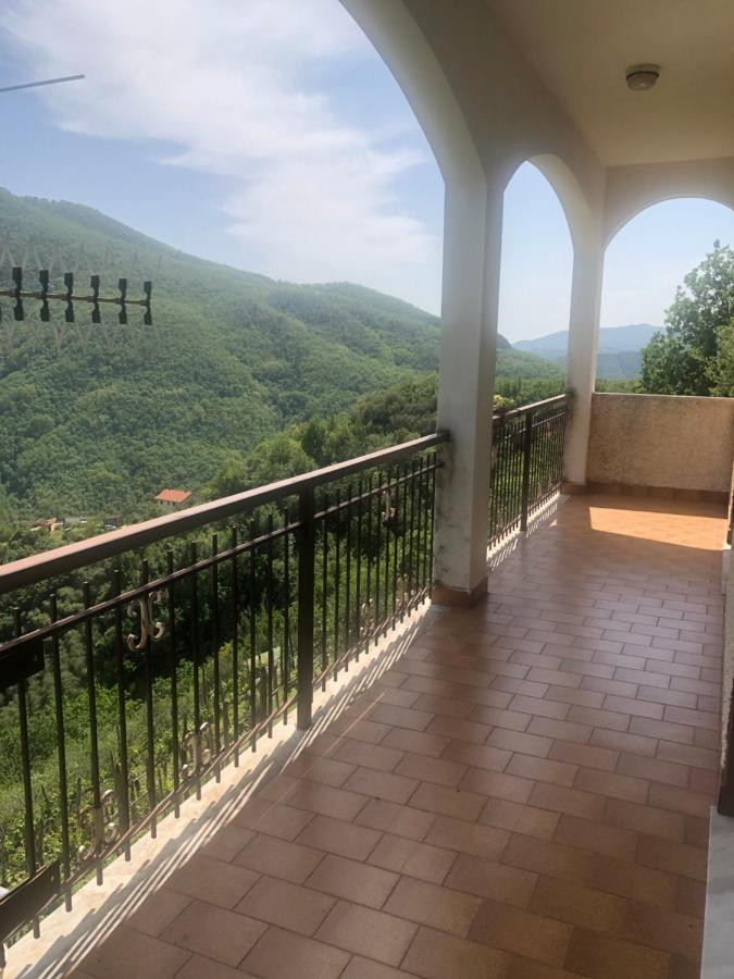 Villa Elena Mezzanego Kültér fotó