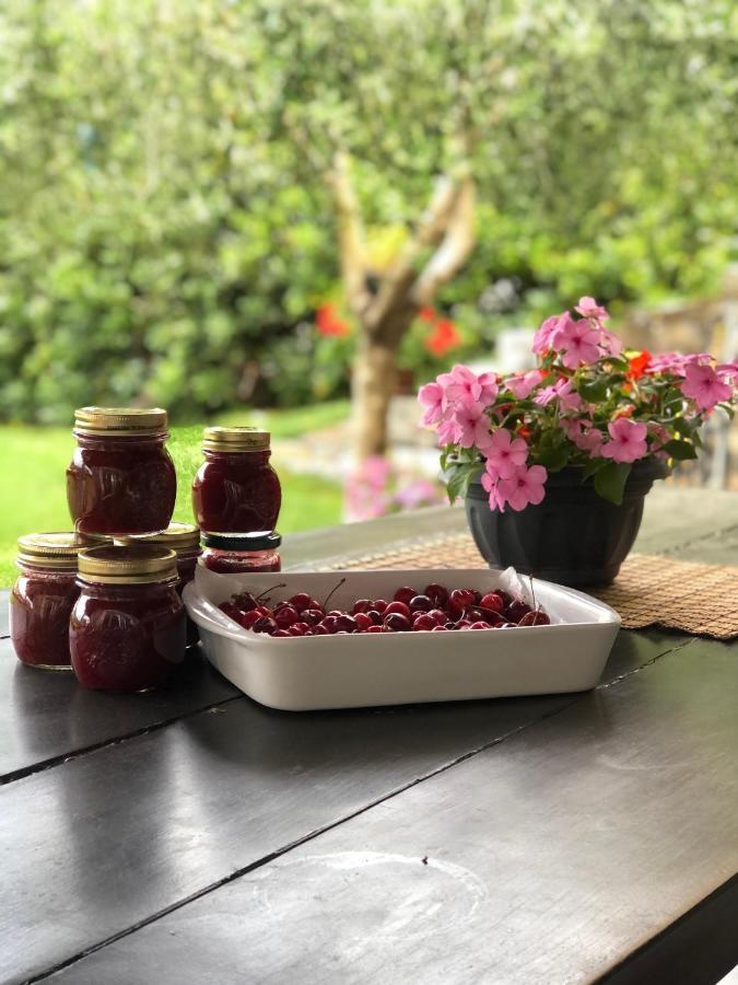 Villa Elena Mezzanego Kültér fotó