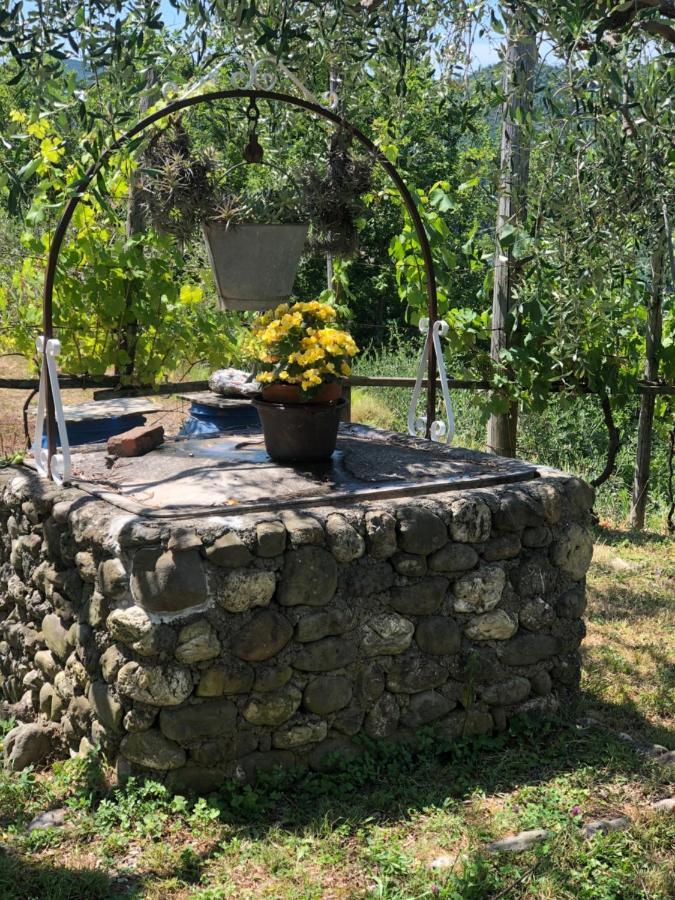 Villa Elena Mezzanego Kültér fotó