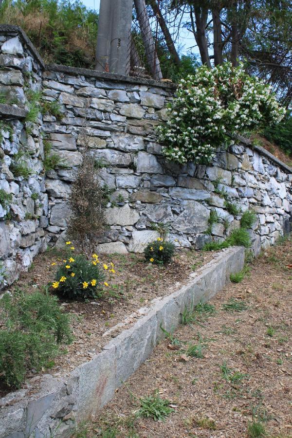 Villa Elena Mezzanego Kültér fotó