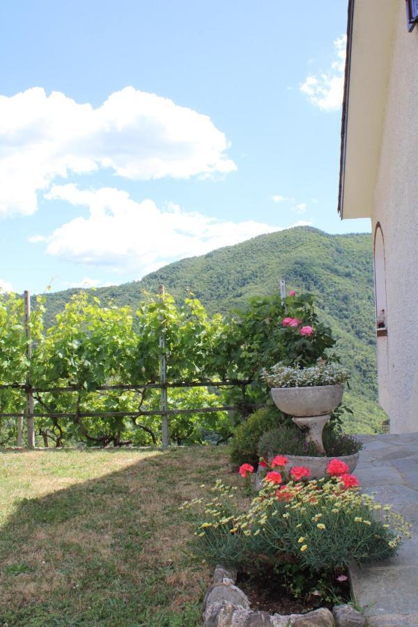 Villa Elena Mezzanego Kültér fotó