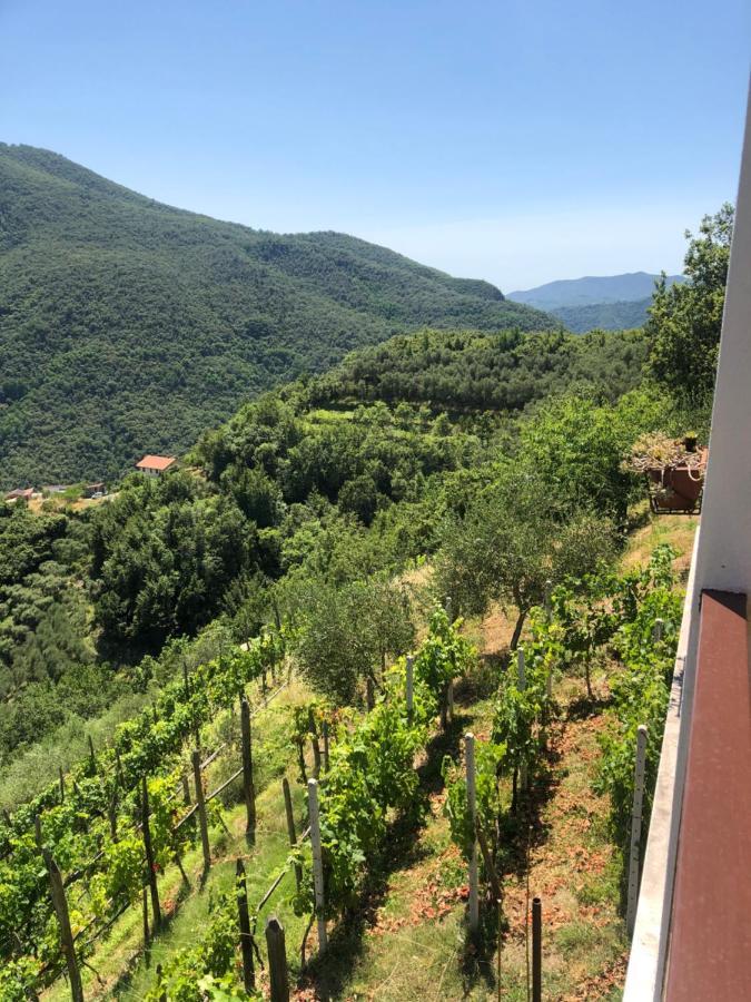 Villa Elena Mezzanego Kültér fotó